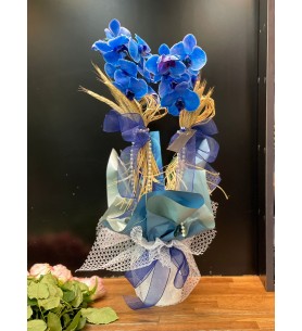 BLUE ORCHID